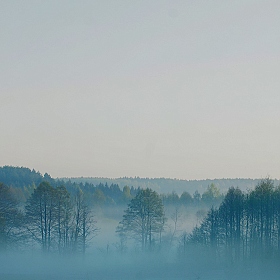 Утро. Туман. | Фотограф Вадзім Краўцоў | foto.by фото.бай