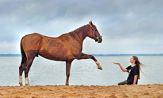 Наталия Евмененко - фотограф, фотография добавлена 05.06.2025