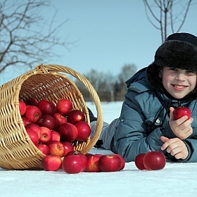 фотограф Павел Бурак. Фотография "Яблочное настроение (3)"