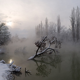 фотограф Александр Плеханов. Фотография "Морозное утро"