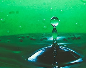 Водный мир | Фотограф Антон Бочканов | foto.by фото.бай