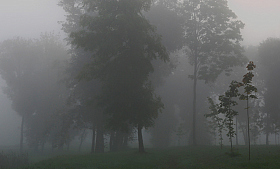 В тумане | Фотограф Александр Задёрко | foto.by фото.бай