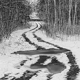 После снегопада | Фотограф Сергей Михайлов | foto.by фото.бай