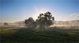 Свет с туманом поиграть решили | Фотограф Сергей Шабуневич | foto.by фото.бай