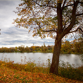 Осенний полдень | Фотограф Александр Войтко | foto.by фото.бай