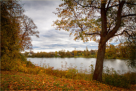 Осенний полдень | Фотограф Александр Войтко | foto.by фото.бай