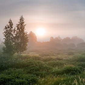 Власть тумана | Фотограф Александр Шатохин | foto.by фото.бай
