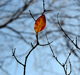 *** | foto.by фото.бай