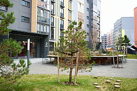 Работа фотографа Александр Тагаев