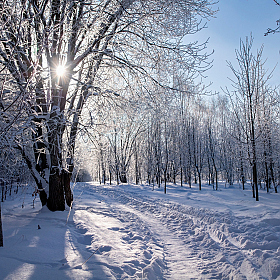 Утро морозное | Фотограф Сергей Шабуневич | foto.by фото.бай