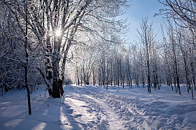 Утро морозное | Фотограф Сергей Шабуневич | foto.by фото.бай