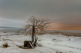 Январь | Фотограф Петр Голосов | foto.by фото.бай