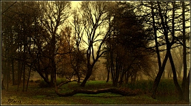 осень в парке | Фотограф Игорь Сафонов | foto.by фото.бай