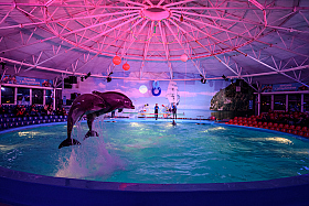 Работа фотографа Сергей Тарасов