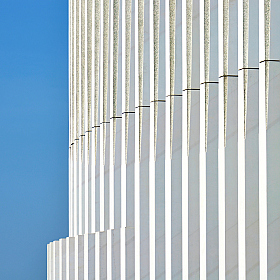 Белые вертикали | Фотограф Александр Кузнецов | foto.by фото.бай