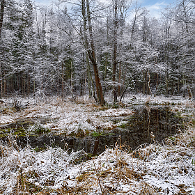 первый снег | Фотограф Виталий Полуэктов | foto.by фото.бай