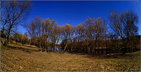 деревья у реки | Фотограф Игорь Сафонов | foto.by фото.бай