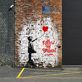 Follow the Balloon | Фотограф Александр Кузнецов | foto.by фото.бай