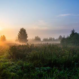 утро в деревне | Фотограф Виталий Полуэктов | foto.by фото.бай