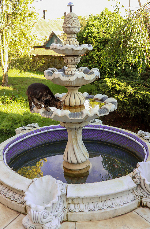 Фотограф Алексей Климков, фотография добавлена 06.11.2025