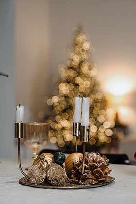 Работа фотографа Екатерина Шведова