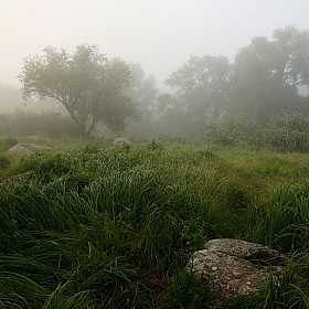 Утро долины Протыч. | Фотограф Александр Игнатьев | foto.by фото.бай