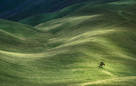 В сердце гор...одиночество. | Фотограф Алексей Богорянов | foto.by фото.бай