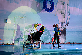 Работа фотографа Сергей Тарасов