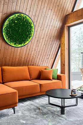 Работа фотографа Александр Тагаев