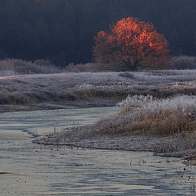 Первые лучи | Фотограф Сергей Шляга | foto.by фото.бай