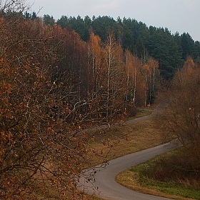 фотограф Сергей Мышковский. Фотография "Осень"