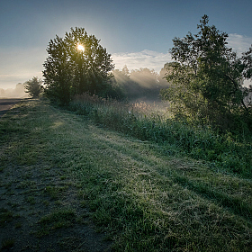 Летним утром | Фотограф Александр Шатохин | foto.by фото.бай
