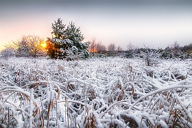 Январский закат | Фотограф Александр Тарасевич | foto.by фото.бай