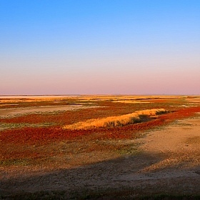 фотограф Сергей Шабуневич. Фотография "Краски Гнилого моря"