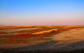 Краски Гнилого моря | Фотограф Сергей Шабуневич | foto.by фото.бай
