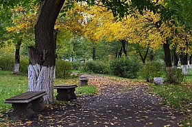 Лето прошло... Парк... Осень... | Фотограф Leonid | foto.by фото.бай