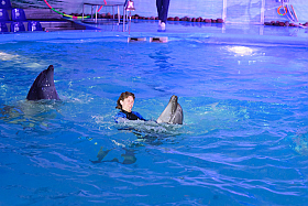 Работа фотографа Сергей Тарасов