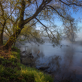 Весенняя река | Фотограф Сергей Шабуневич | foto.by фото.бай