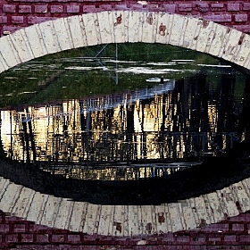 фотограф Владислав Рогалев. Фотография "всевидящее око гомельского парка"