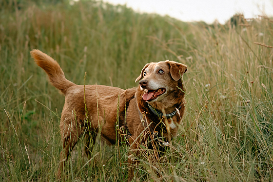 Фотограф Мария Войтик, фотография добавлена 16.02.2026