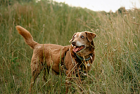 Работа фотографа Мария Войтик