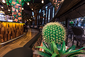 Работа фотографа Сергей Тарасов