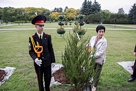 Работа фотографа Сергей Тарасов