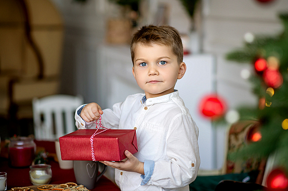 Фотограф Виктория Гринкевич, фотография добавлена 03.12.2025