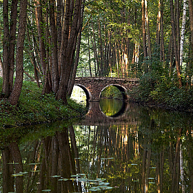 Арочный мост в старом парке