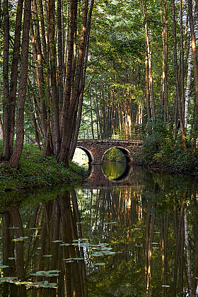 Арочный мост в старом парке | Фотограф Кирилл Подобед | foto.by фото.бай