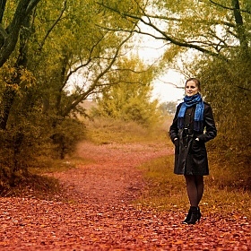 фотограф Александр Титов. Фотография "Осень золотая"