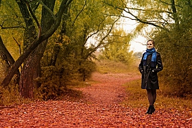 Осень золотая | Фотограф Александр Титов | foto.by фото.бай