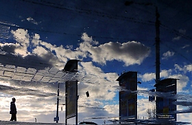 что можно увидеть в луже календарной зимой | Фотограф Владислав Рогалев | foto.by фото.бай