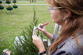 Работа фотографа Сергей Тарасов